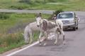 img054.jpeg.small.jpeg