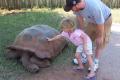 img061.jpeg.small.jpeg