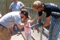 img063.jpeg.small.jpeg